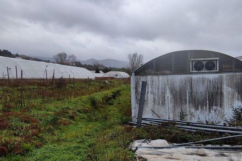 Terrain - Valenca, Viana do Castelo, Valenca - € 250 000 | Réf : 162475 - photo 8