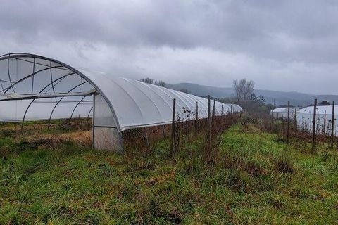 Terrain - Valenca, Viana do Castelo, Valenca - € 250 000 | Réf : 162475 - photo 9