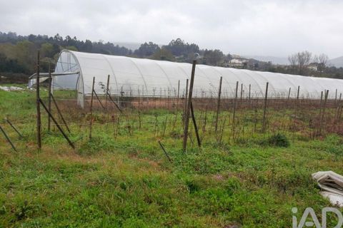 Terrain - Valenca, Viana do Castelo, Valenca - € 250 000 | Réf : 162475 - photo 16