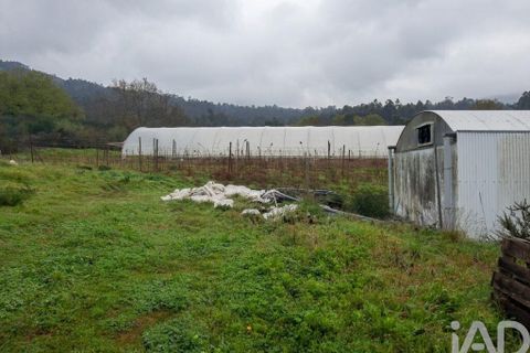 Terrain - Valenca, Viana do Castelo, Valenca - € 250 000 | Réf : 162475 - photo 18