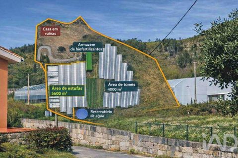 Terrain - Valenca, Viana do Castelo, Valenca - € 250 000 | Réf : 162475 - photo 22
