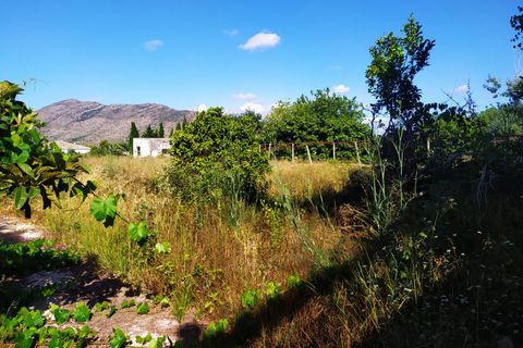 Helårsgrund i Benissa, Alicante, Benissa - € 1.500.000 | Ref: SLV19-4434D - foto 5