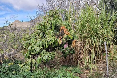 Villa i Arona, Tenerife, Arona - € 699.000 | Ref: CHA0057 - foto 44