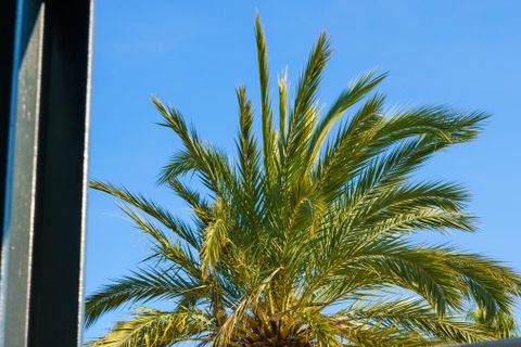 Haus in Altea, Alicante, Altea - € 4.700.000 | Ref: LUX6196 - Foto 41