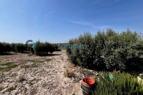 Herregård i Las Cunas, Almeria, Las Cunas - € 165 000 | Ref: 193 - foto 19