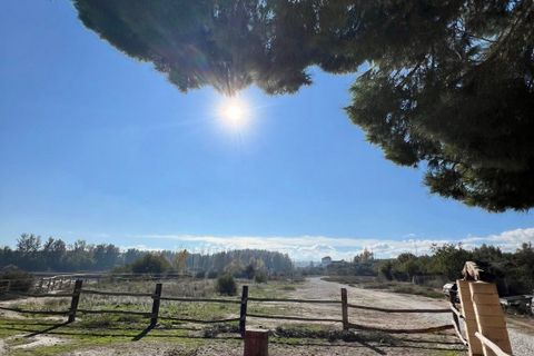 Herregård i Caniles, Granada, Caniles - € 395 000 | Ref: IZ-G2032 - foto 20