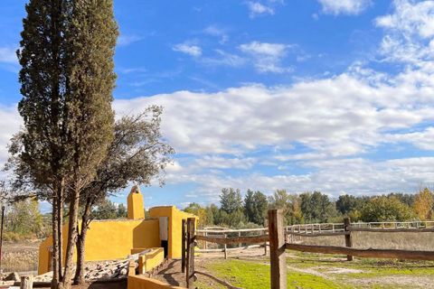 Herregård i Caniles, Granada, Caniles - € 395 000 | Ref: IZ-G2032 - foto 21