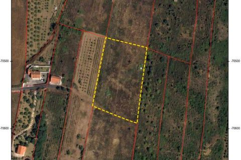 Terreno en Alenquer, Lisbon, Alenquer - € 95.400 | Ref: 165580 - photo 4