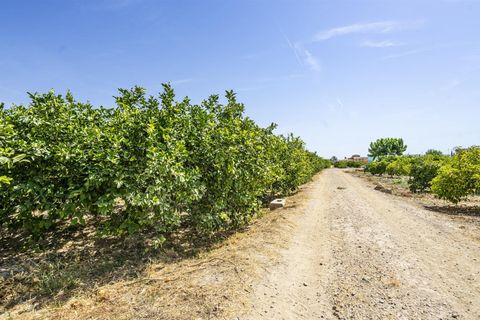 Villa i Beniel, Murcia, Beniel - € 595.000 | Ref: MSR-83BBL - foto 50