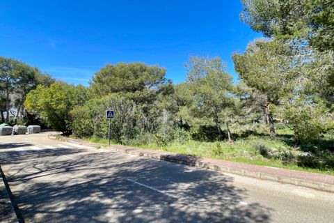 Helårsgrund i Javea, Alicante - foto 2