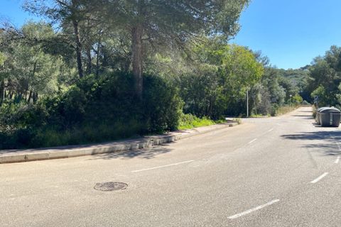 Helårsgrund i Javea, Alicante - foto 3