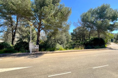Helårsgrund i Javea, Alicante - foto 4