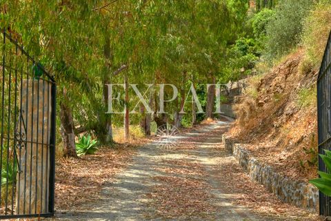 Landejendom i Sayalonga, Malaga, Sayalonga - € 365.000 | Ref: 0508 - foto 5