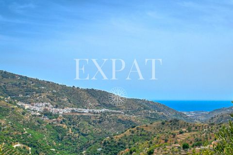 Landejendom i Sayalonga, Malaga, Sayalonga - € 365.000 | Ref: 0508 - foto 24
