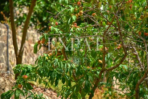 Landejendom i Sayalonga, Malaga, Sayalonga - € 365.000 | Ref: 0508 - foto 35