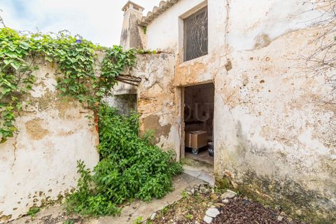 Helårsgrund i Tavira, Faro, Tavira - € 350.000 | Ref: FC078TVW - foto 5