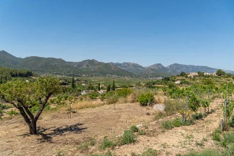 Villa in Lliber, Alicante, Lliber - € 1.250.000 | Ref: 2401 - foto 31