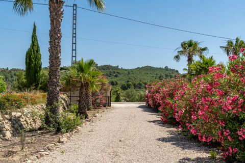 Villa in Lliber, Alicante, Lliber - € 1.250.000 | Ref: 2401 - foto 33