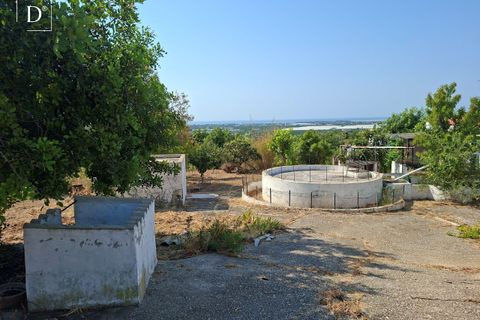 Villa i Tavira, Faro, Tavira - € 795.000 | Ref: ST2619-A - foto 48