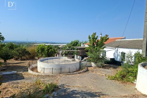 Villa i Tavira, Faro, Tavira - € 795.000 | Ref: ST2619-A - foto 49