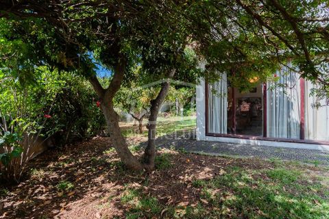 Villa i Funchal, Madeira, Funchal - € 1.500.000 | Ref: 11732-RJC - foto 5