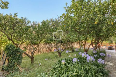 Villa en Valldemosa, Mallorca, Valldemosa - € 3.900.000 | Ref: MAL69839 - photo 29