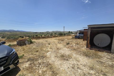 Landejendom i Pinoso, Alicante, Pinoso - € 125.000 | Ref: P5528 - foto 6