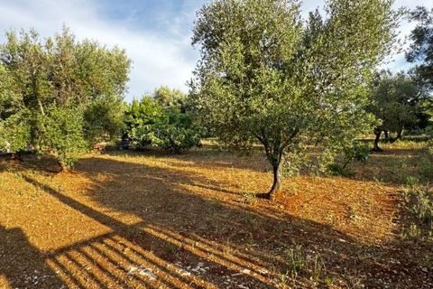 Landejendom i Carovigno, Brindisi, Carovigno - € 235.000 | Ref: villa V7 - foto 32
