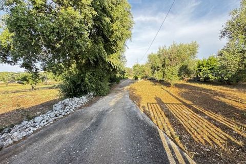 Landejendom i Carovigno, Brindisi, Carovigno - € 235.000 | Ref: villa V7 - foto 35