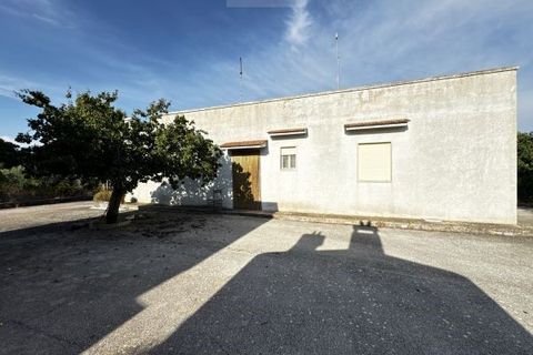 Landejendom i Carovigno, Brindisi, Carovigno - € 235.000 | Ref: villa V7 - foto 10