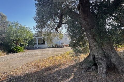 Landejendom i Carovigno, Brindisi, Carovigno - € 235.000 | Ref: villa V7 - foto 38
