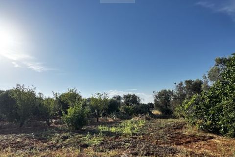 Landejendom i Carovigno, Brindisi, Carovigno - € 235.000 | Ref: villa V7 - foto 26