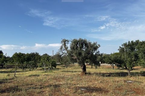 Landejendom i Carovigno, Brindisi, Carovigno - € 235.000 | Ref: villa V7 - foto 28