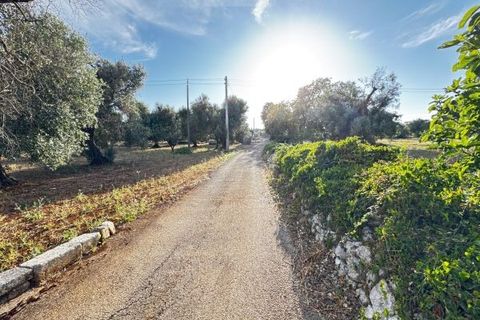Landejendom i Carovigno, Brindisi, Carovigno - € 235.000 | Ref: villa V7 - foto 37