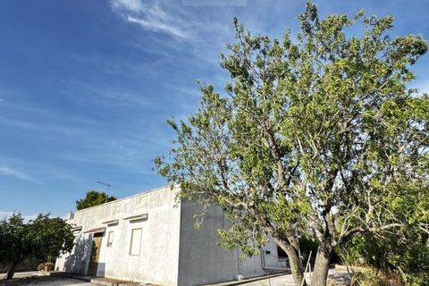 Landejendom i Carovigno, Brindisi, Carovigno - € 235.000 | Ref: villa V7 - foto 24