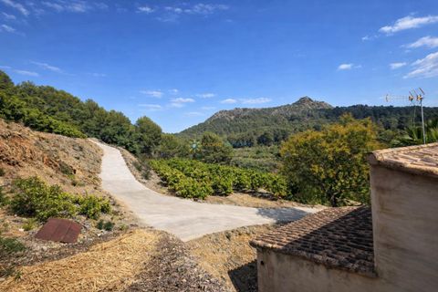 Villa i Alfauir, Valencia, Alfauir - € 125.000 | Ref: PNVL2169 - foto 29