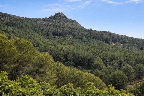 Villa i Alfauir, Valencia, Alfauir - € 125.000 | Ref: PNVL2169 - foto 23