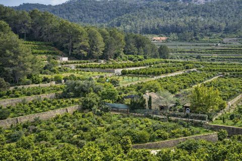 Villa i Alfauir, Valencia, Alfauir - € 125.000 | Ref: PNVL2169 - foto 33