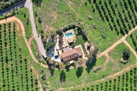 Landejendom i Estombar, Faro, Estombar - € 1.390.000 | Ref: RC018 - foto 15