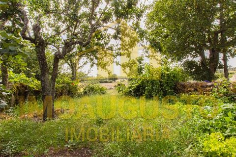 Villa in Guarda, Guarda, Guarda - € 117.500 | Ref: CAS_2474 - foto 4