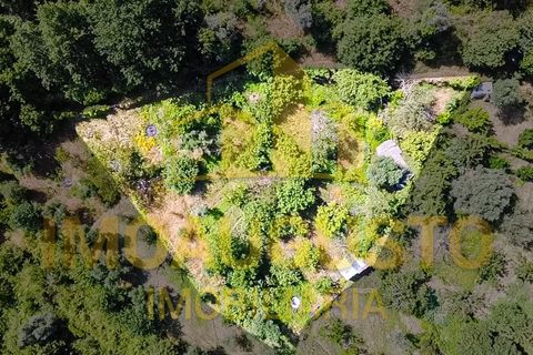 Villa i Mizarela, Pero Soares e Vila Soeiro, Guarda, Mizarela, Pero Soares e Vila Soeiro - € 67.500 | Ref: CAS_2493 - foto 24