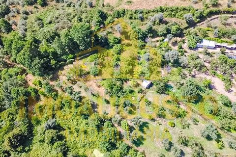 Villa i Mizarela, Pero Soares e Vila Soeiro, Guarda, Mizarela, Pero Soares e Vila Soeiro - € 67.500 | Ref: CAS_2493 - foto 25