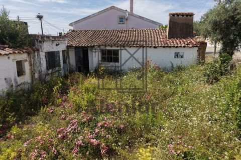 Bungalow i Azambuja, Lisbon, Azambuja - € 340 000 | Ref: CAS_191 - foto 10