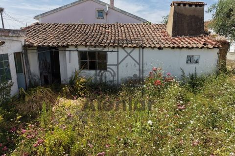 Bungalow i Azambuja, Lisbon, Azambuja - € 340 000 | Ref: CAS_191 - foto 11