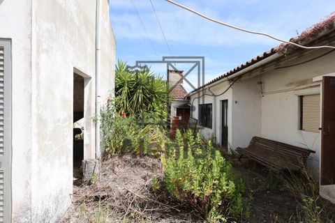 Bungalow i Azambuja, Lisbon, Azambuja - € 340 000 | Ref: CAS_191 - foto 22