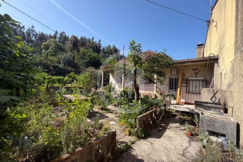 Villa i Treixedo e Nagozela, Viseu, Treixedo e Nagozela - € 46 500 | Ref: CAS_234 - foto 3