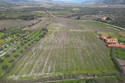 Grond in Torre de Moncorvo, Braganca, Torre de Moncorvo - € 236.000 | Ref: BG99521MG - foto 3