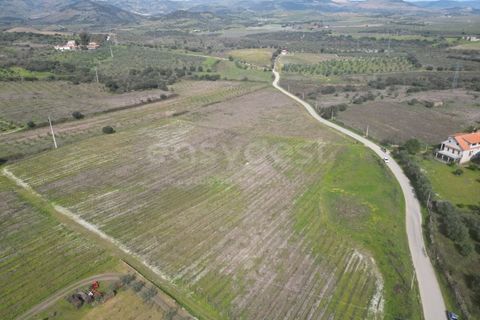 Grond in Torre de Moncorvo, Braganca, Torre de Moncorvo - € 236.000 | Ref: BG99521MG - foto 6