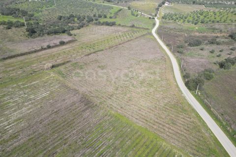 Grond in Torre de Moncorvo, Braganca, Torre de Moncorvo - € 236.000 | Ref: BG99521MG - foto 7