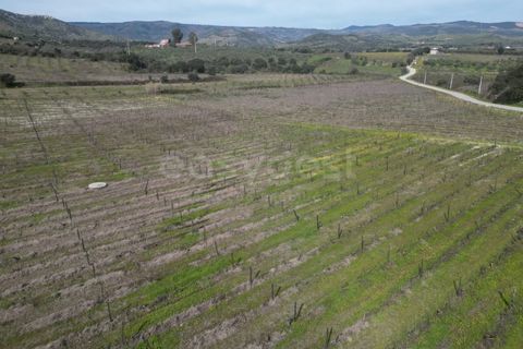 Grond in Torre de Moncorvo, Braganca, Torre de Moncorvo - € 236.000 | Ref: BG99521MG - foto 11